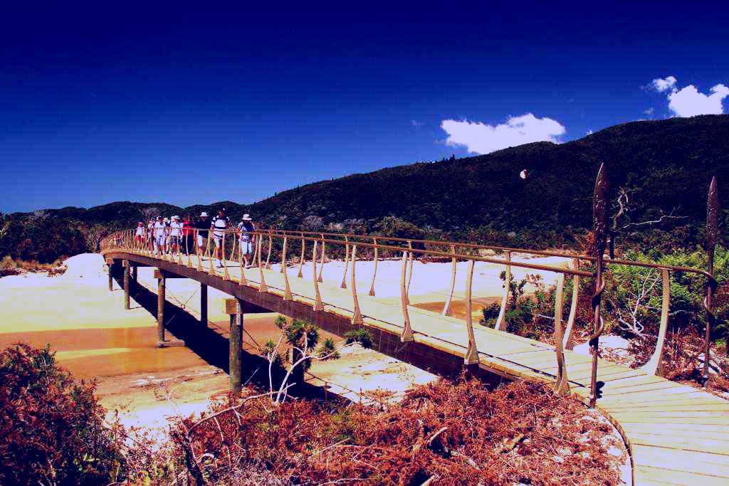 SubjectCoach | Abel Tasman Sea Shuttle