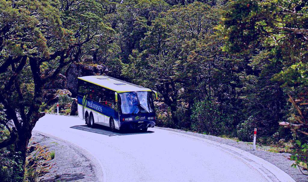 SubjectCoach | Doubtful Sound Wilderness Cruises (from Queenstown) - Real Journeys