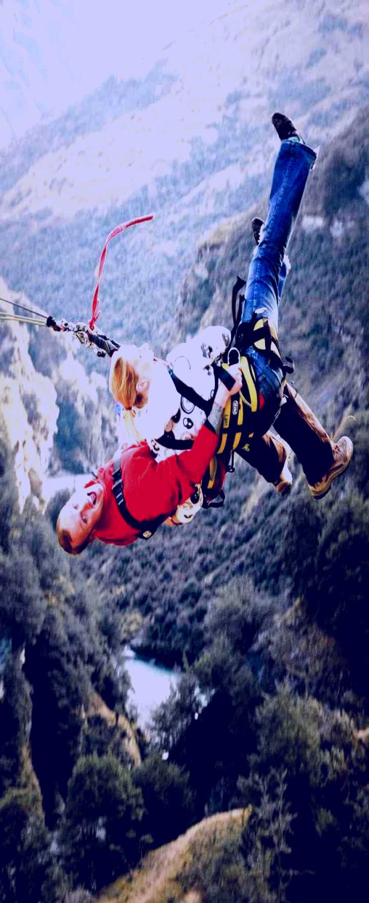 SubjectCoach | Shotover Canyon Swing