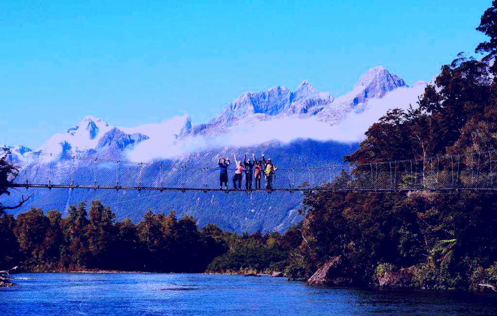 SubjectCoach | Hollyford Track 3 Day Guided walk