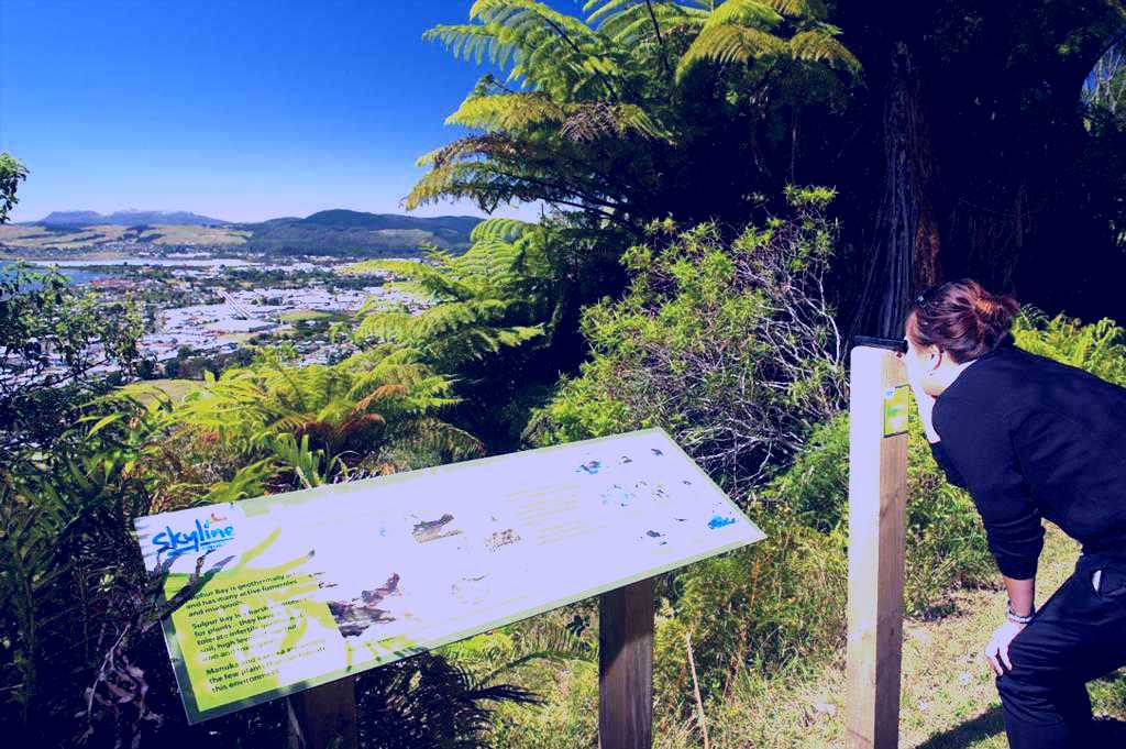 SubjectCoach | Skyline Rotorua | Gondola