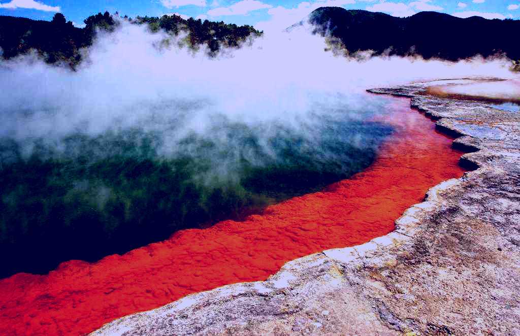 SubjectCoach | Grumpy's 'Hot as' tours - Wai-O-Tapu Thermal Wonderland