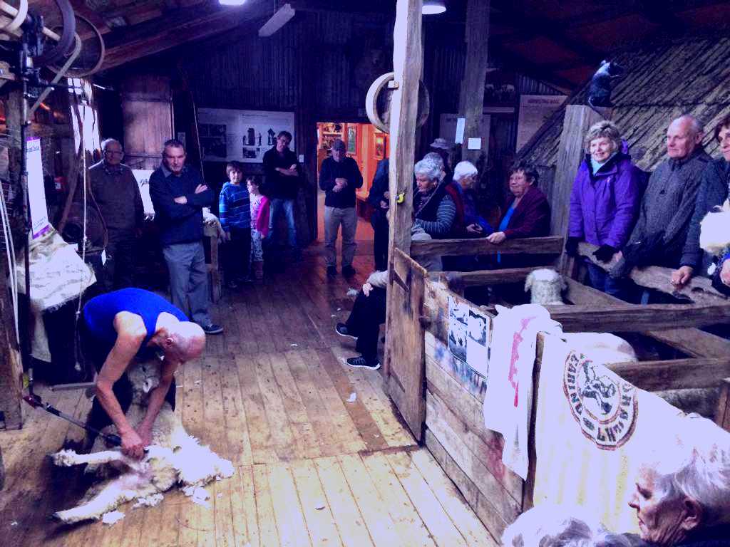 SubjectCoach | The Wool Shed: National Museum of Sheep and Shearing