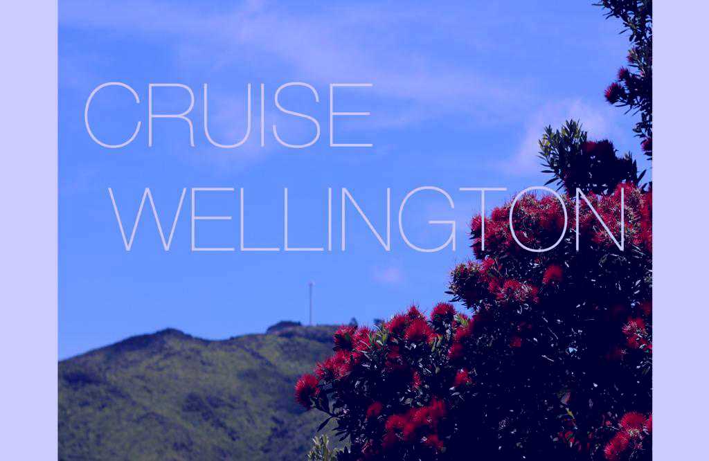 SubjectCoach | Cruise Wellington