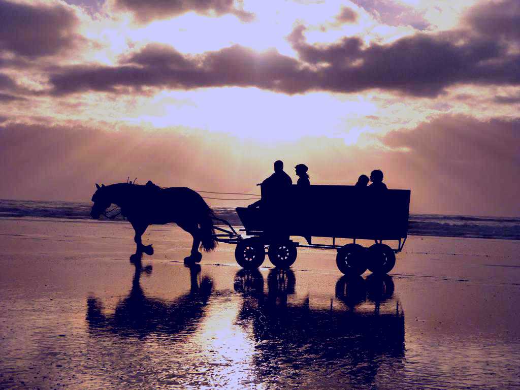 SubjectCoach | Golden Sands Horse and Wagon Tours
