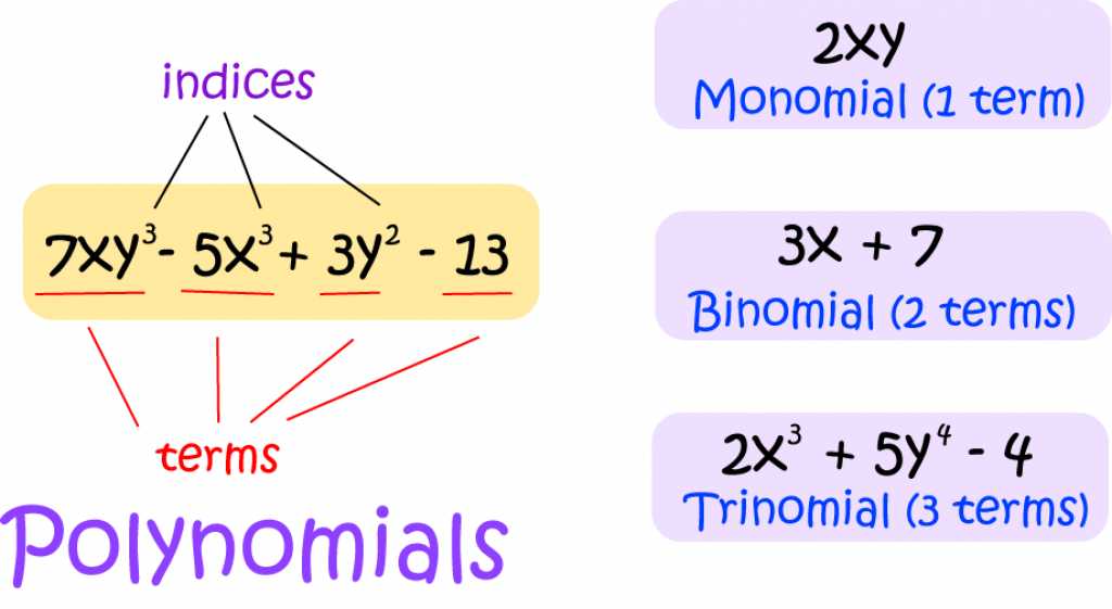 Definition of Binomial | SubjectCoach