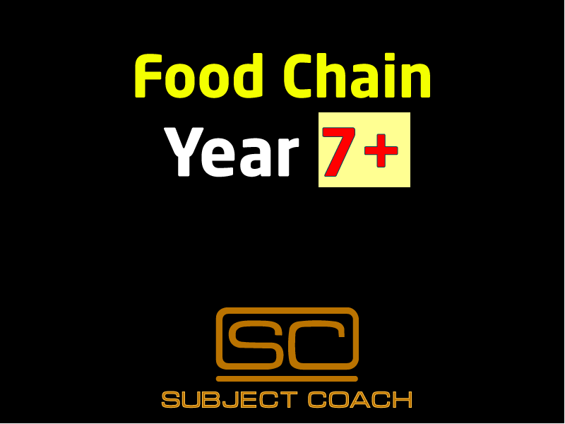 SubjectCoach | Food Chains