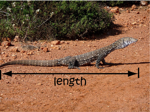 Length Math Definitions Letter L