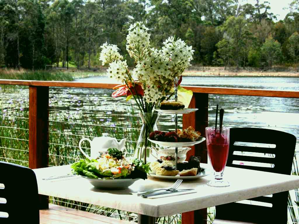 SubjectCoach | Abundance Lifestyle and Garden
