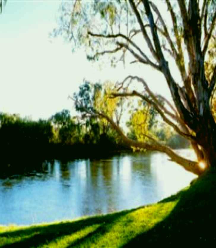 SubjectCoach | Albury - Murray River Precinct
