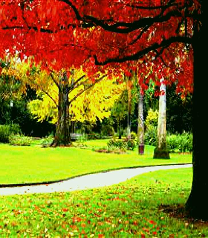 SubjectCoach | Albury Botanic Gardens