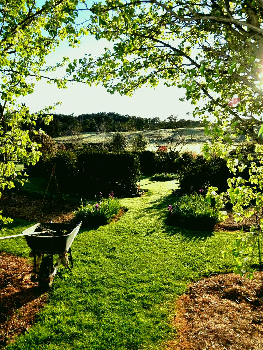 SubjectCoach | All Saints Garden