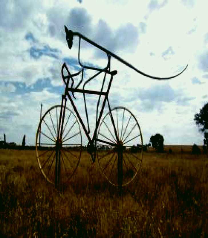 SubjectCoach | Animals on Bikes