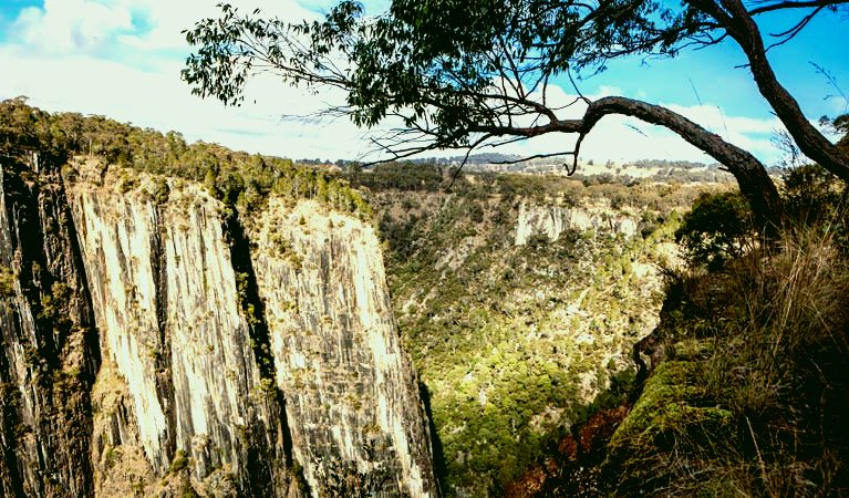 SubjectCoach | Apsley Gorge Rim walking track
