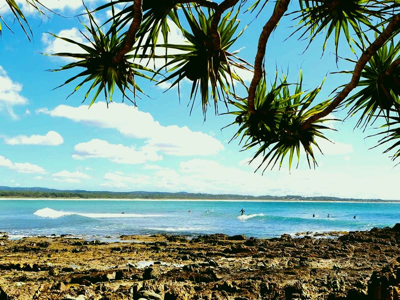 SubjectCoach | Arrawarra-Corindi Beach