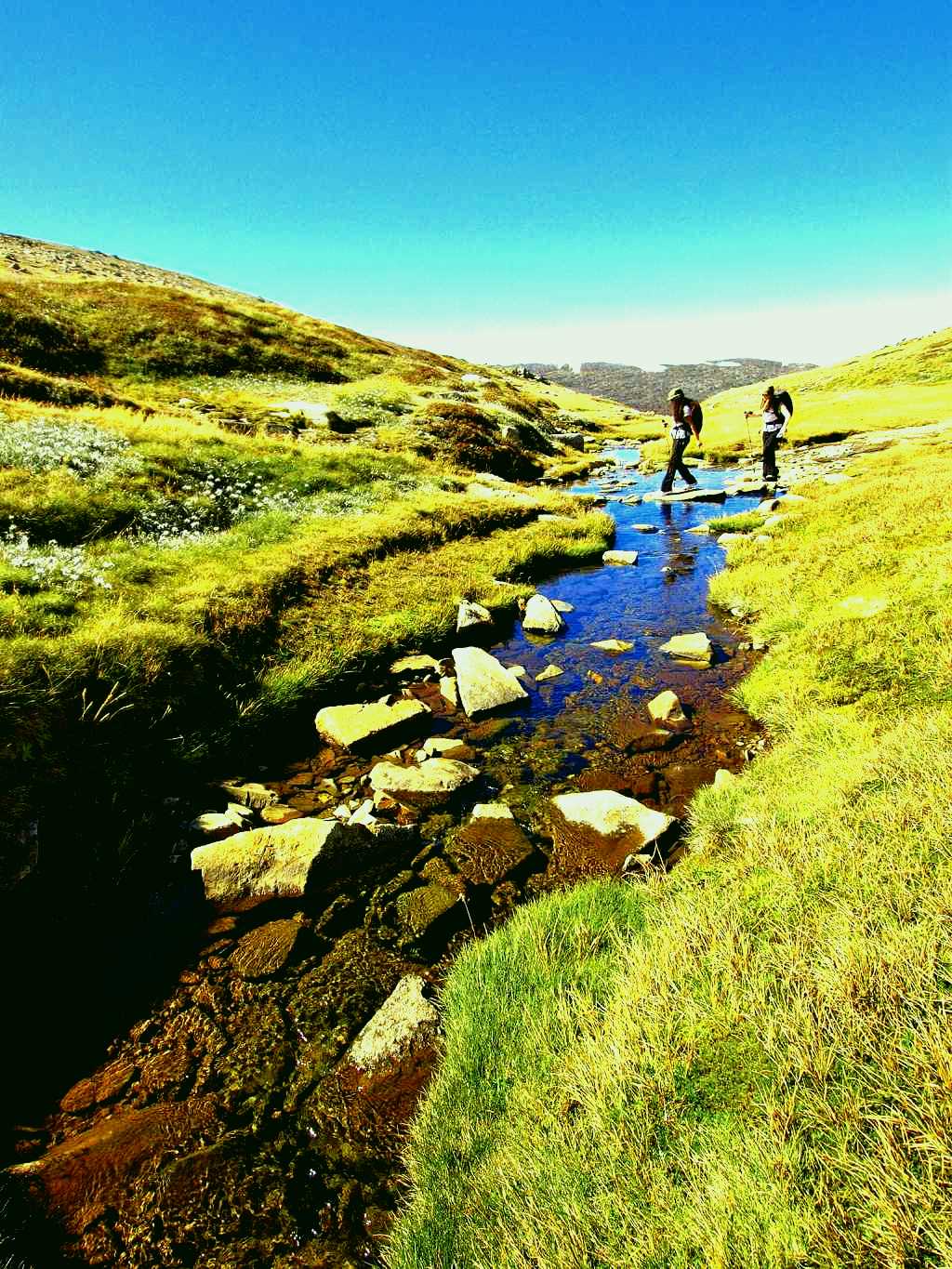 SubjectCoach | Australian Alps Walking Track