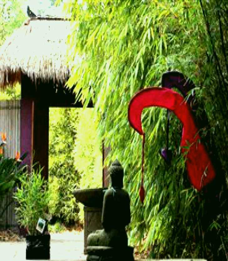 SubjectCoach | Bamboo Buddha