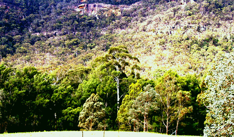 SubjectCoach | Bangadilly National Park