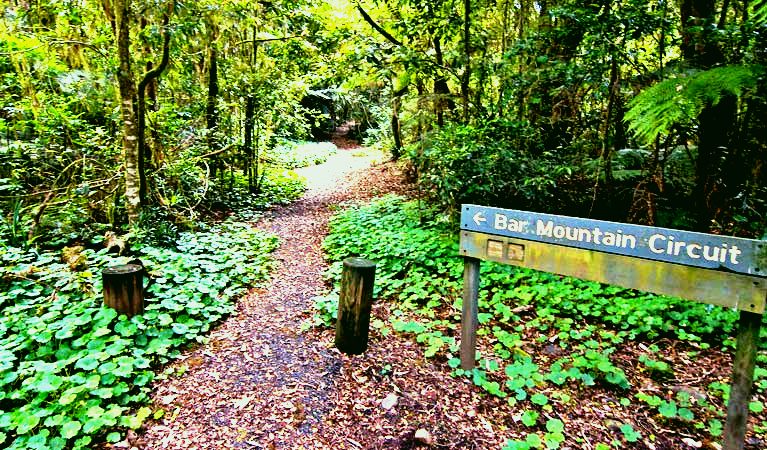 SubjectCoach | Bar Mountain circuit