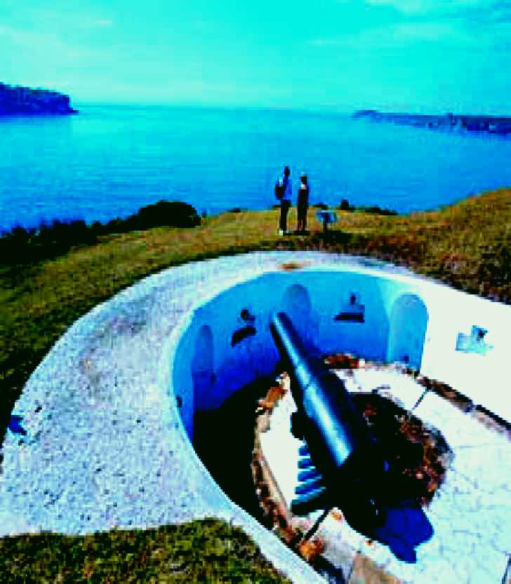 SubjectCoach | Bare Island