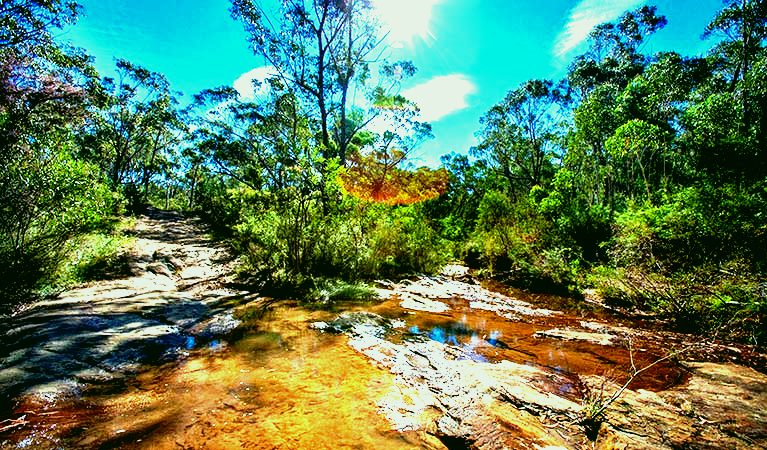 SubjectCoach | Bargo State Conservation Area