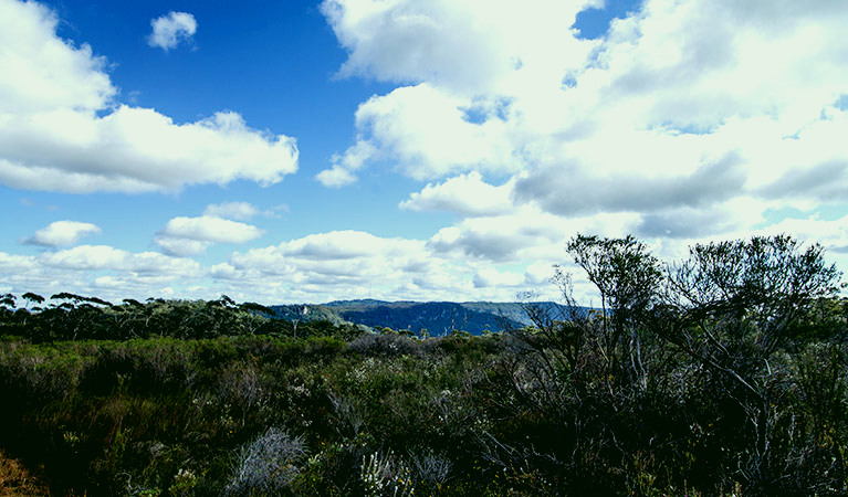 SubjectCoach | Barren Grounds Nature Reserve
