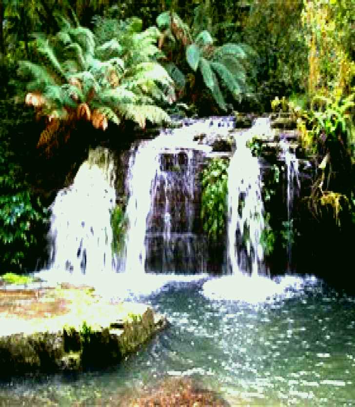 SubjectCoach | Barrington Tops National Park Walks