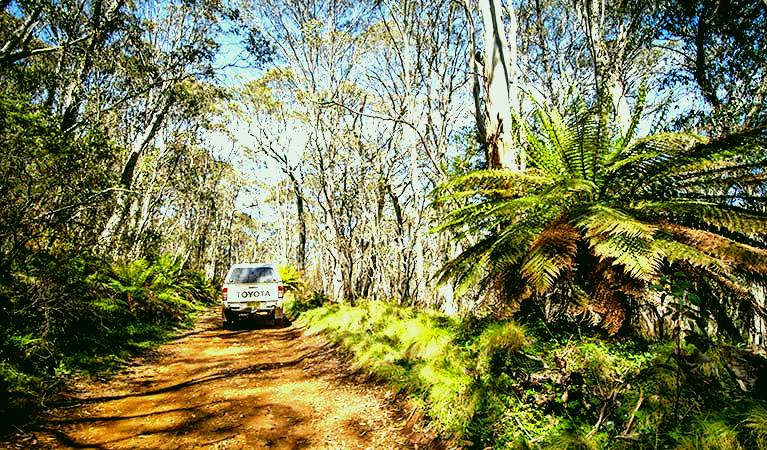 SubjectCoach | Barrington trail