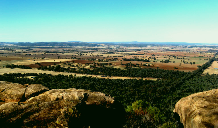 SubjectCoach | Basin Gully to Eualdrie lookout track