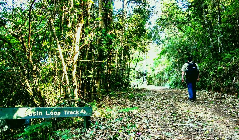 SubjectCoach | Basin Loop track