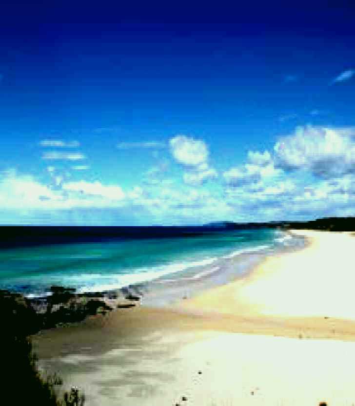 SubjectCoach | Beach Art Gallery