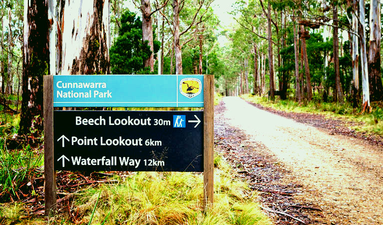 SubjectCoach | Beech lookout