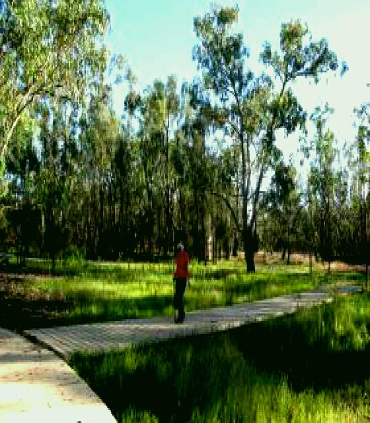 SubjectCoach | Ben Scott Memorial Bird Trail