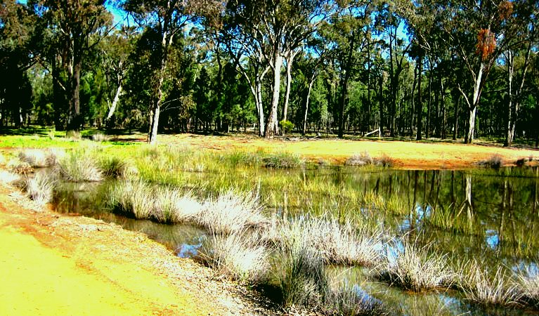SubjectCoach | Beni State Conservation Area