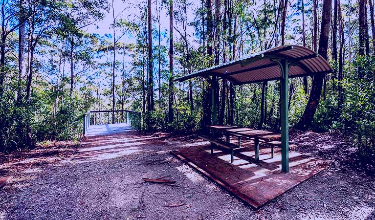 SubjectCoach | Big Nellie lookout and picnic area