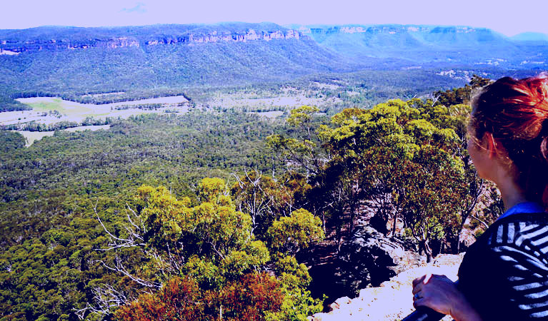 SubjectCoach | Blackheath lookouts driving route