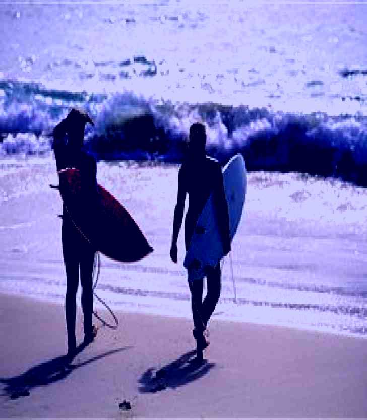 SubjectCoach | Blinky Beach