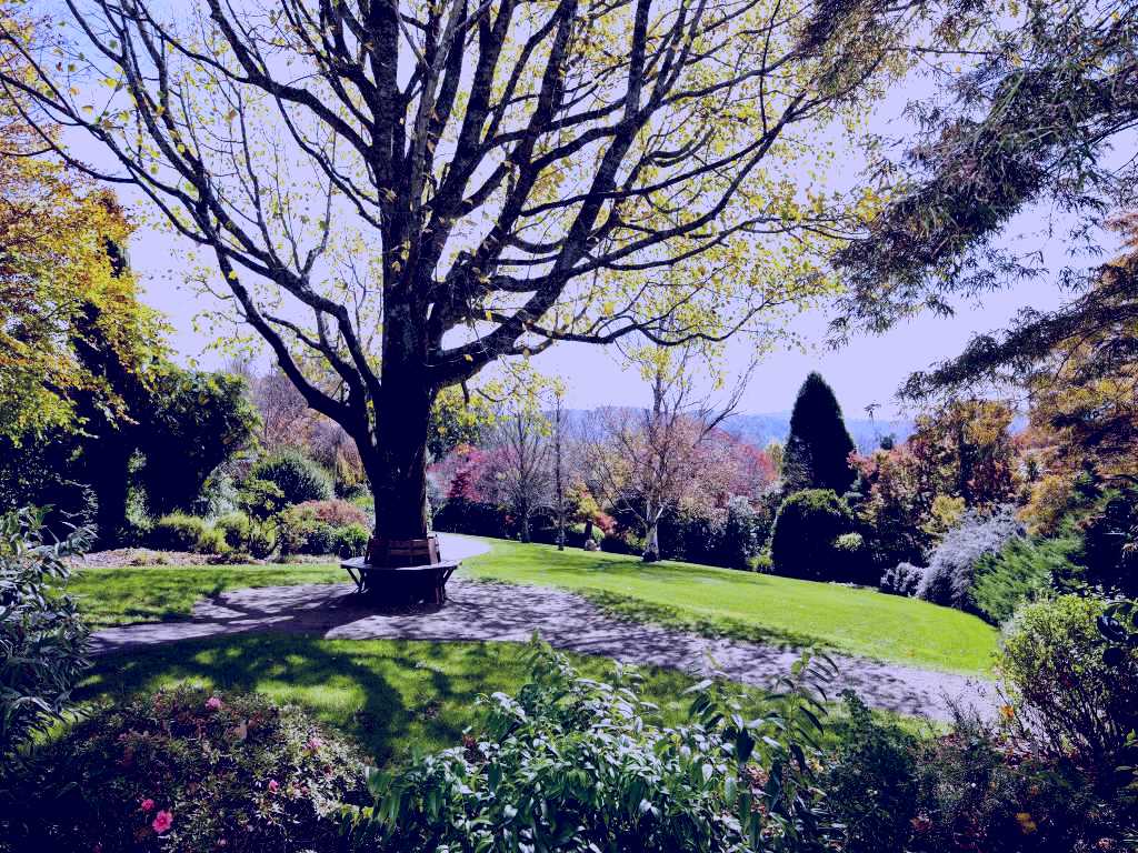 SubjectCoach | Blue Mountains Botanic Garden Mount Tomah