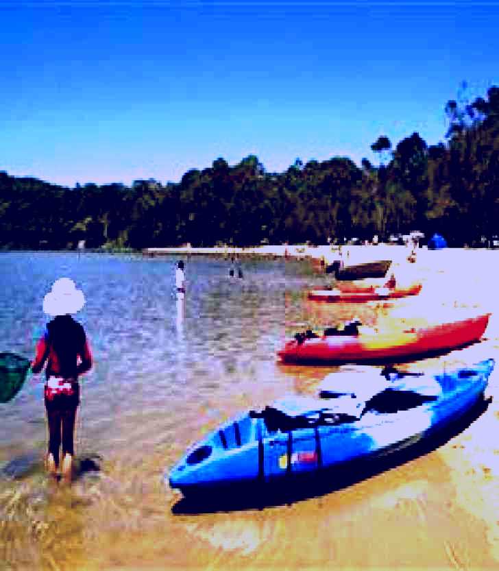 SubjectCoach | Boambee Beach