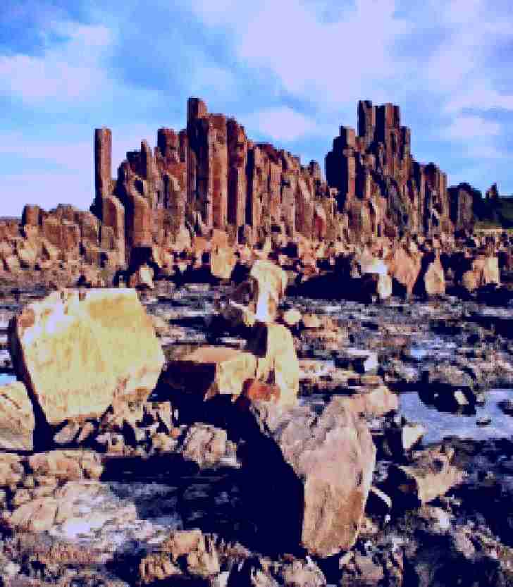 SubjectCoach | Bombo Headland Kiama