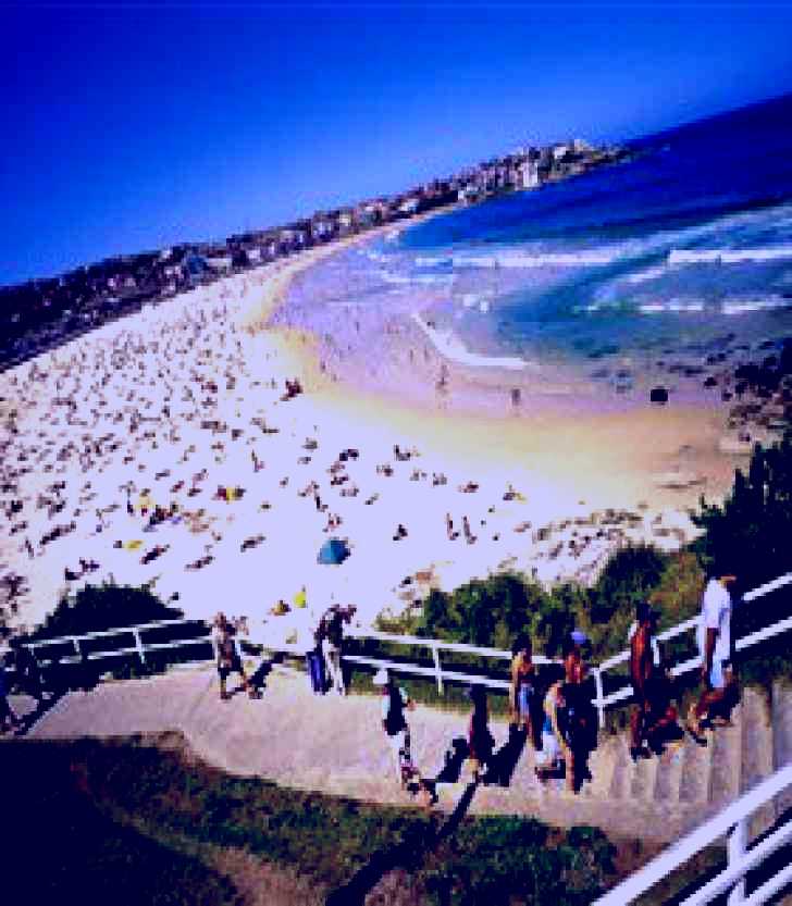 SubjectCoach | Bondi to Coogee Coastal Walk