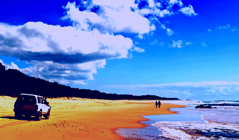 SubjectCoach | Bongil Bongil National Park