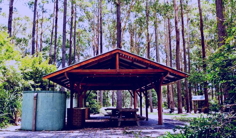 SubjectCoach | Bongil picnic area