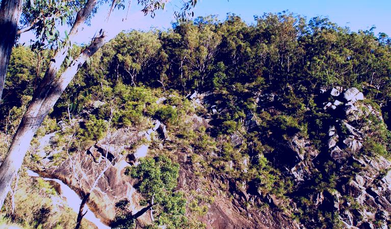 SubjectCoach | Boonoo Boonoo National Park