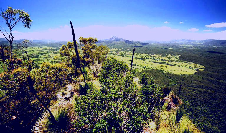 SubjectCoach | Border Ranges National Park