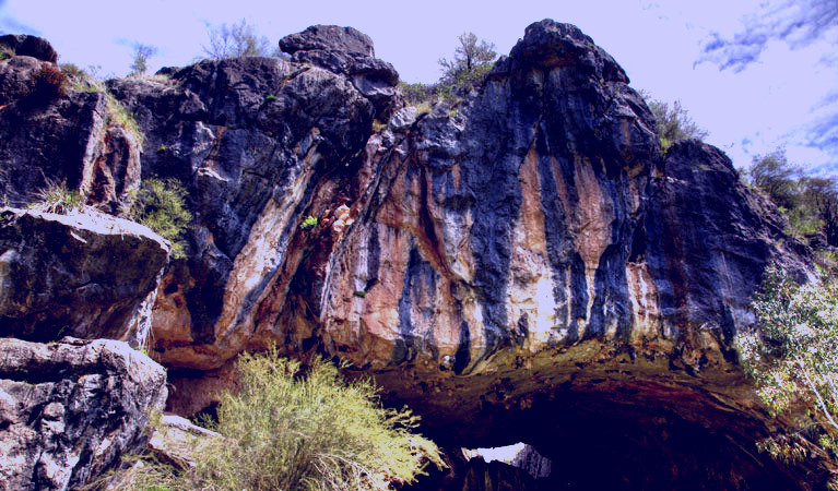 SubjectCoach | Borenore Karst Conservation Reserve