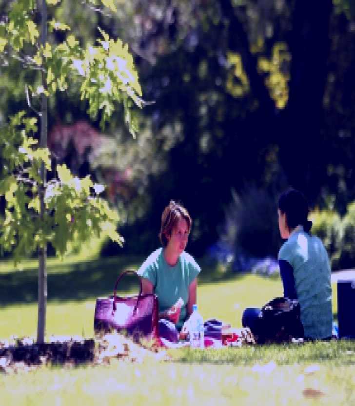 SubjectCoach | Botanic Gardens Wagga Wagga