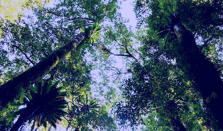 SubjectCoach | Botanic walk