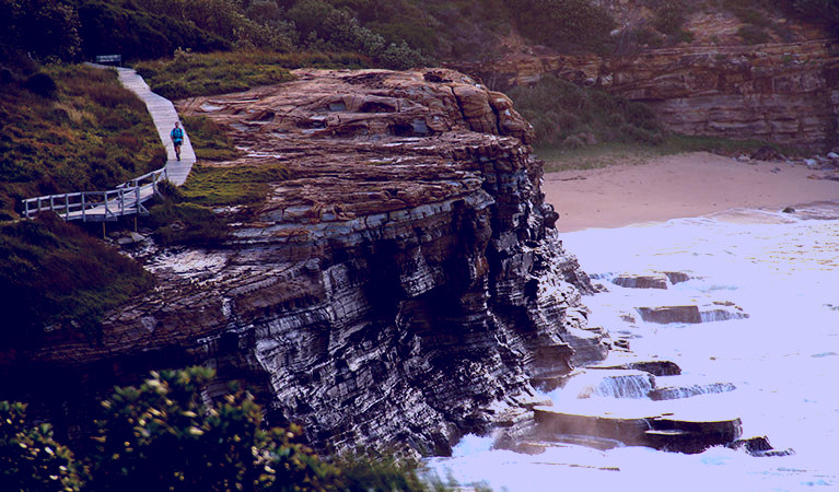 SubjectCoach | Bouddi coastal walk