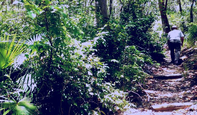 SubjectCoach | Bridle trail